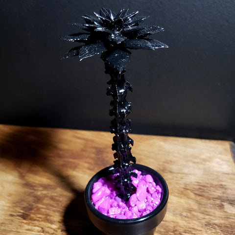 Black Bone Flower in Pot