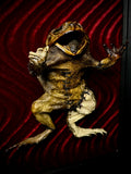 It's ALIVEEE!!!! Frankentoad! Framed Display