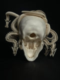 Medusa Skull (Replica)