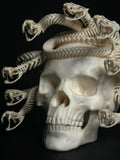 Medusa Skull (Replica)
