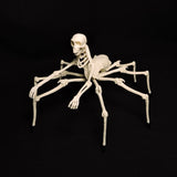 Arachne Plastic Replica Figurine