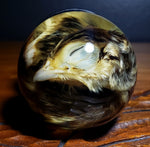 Pheasant Chick Specimen Globe