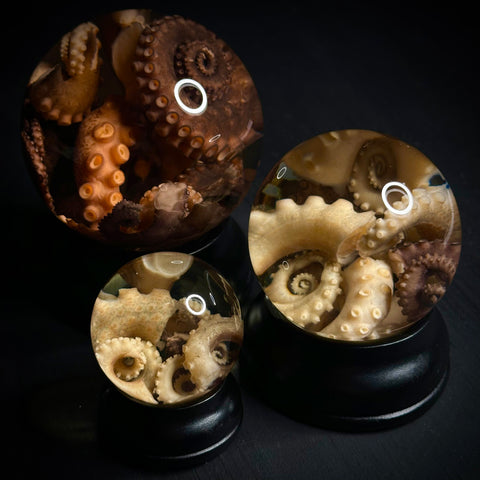 Tentacles Wet Specimen Globes