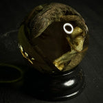 Iguana Wet Specimen Globe