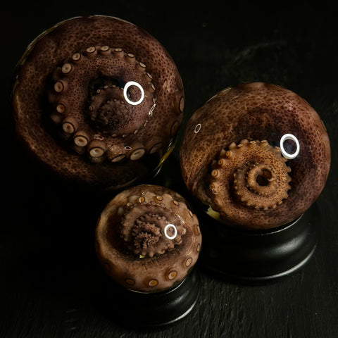 Tentacle (Octopus Arm) 2.5" Specimen Globe