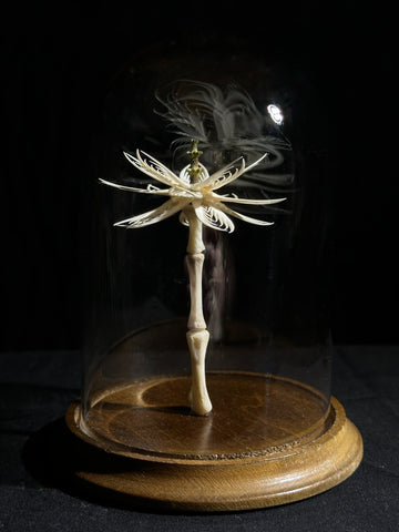 "Bone Flower" with Glass Dome