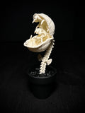 Audrii (Plant) Replica Figurine