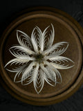 "Bone Flower" with Glass Dome