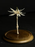 "Bone Flower" with Glass Dome