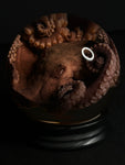 Red Octopus Wet Specimen Globe