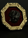 Mummified Gerbil Frame