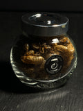 Bottled Cicada Exoskeletons