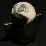 Clutched Eye Wet Specimen on Vintage Base