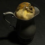 Guinea Pig Pup Wet Specimen on Vintage Base