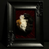 Mummified Guinea Pig Display