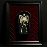 Replica Fruit Bat Skeleton (Wings Closed) in Coffin Display