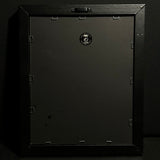 Replica Fruit Bat Skeleton (Wings Closed) in Coffin Display