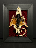 Mummified Flayed Rat Display