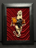 Mummified Flayed Rat Display