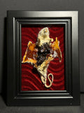 Flayed Rat Display