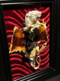 Flayed Rat Display