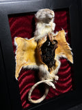 Mummified Flayed Rat