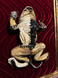 Frankenfrog! Mummified Framed Display