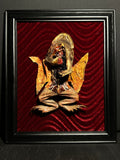 Mummified Dissected Cane Toad Display
