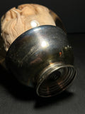 Stillborn Pig Wet Specimen