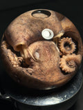 Octopus Wet Specimen with Vintage Base