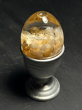 Ant Eggs in Egg Wet Specimen with Vintage Base
