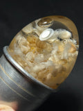 Ant Eggs in Egg Wet Specimen with Vintage Base