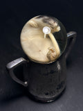 Rat Wet Specimen with Vintage Base