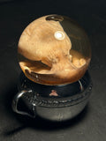 Octopus Wet Specimen with Vintage Base
