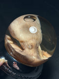 Octopus Wet Specimen with Vintage Base