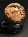 Octopus Wet Specimen on Vintage Base