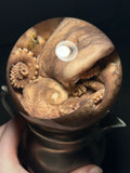 Octopus Wet Specimen with Vintage Base