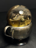 Northern Flying Squirrel Wet Specimen