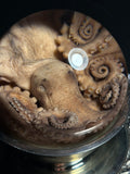 Red Octopus Wet Specimen with Vintage Base