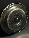 Raccoon Wet Specimen Globe on Vintage Base