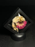 Mummified Mouse Pup with Florals