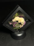Mummified Mouse Pup with Florals