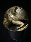 Bearded Dragon Wet Specimen Globe with Vintage Base