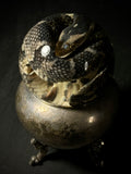 Fox Snake Wet Specimen Globe with Antique Base