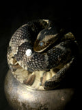 Fox Snake Wet Specimen Globe with Antique Base