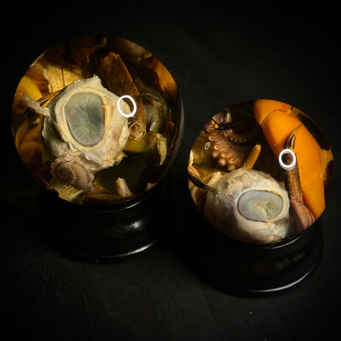 Witches Brew Wet Specimen Globe