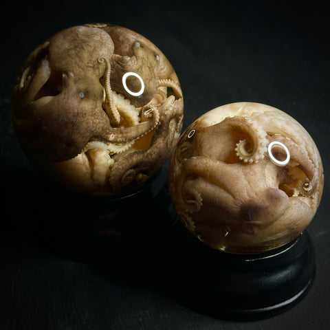 Octopus Snowglobe Wet Specimen Globe