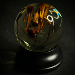 Golden Silk Orbweaver Wet Specimen Globe