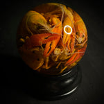 Crayfish Boil Wet Specimen Globe