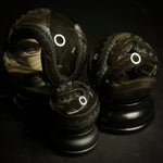Garter Snake Specimen Globe
